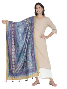 Shingora - Nayaab The Pretty Blue Block Paisley Dupatta