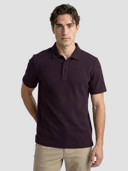The Bear House - Men's Purple Textured Causal Polo T-Shirt