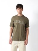 Olive color option