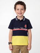 Multi-Color color option, Currently selected