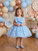 Aqua color option, Currently selected