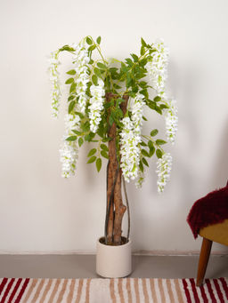 Home Bloom - Artificial Wisteria Blush White Plant with Pot