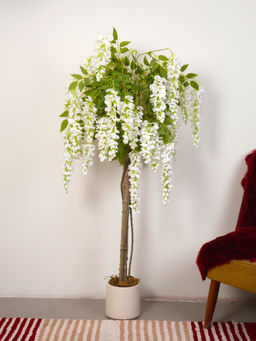 Home Bloom - Artificial Wisteria Blush White Plant with Pot