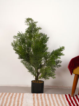 Home Bloom - Artificial Green Mini Cedar Pine Plant with Pot