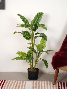 Home Bloom - Artificial Green Dieffenbachia Topiary Plant with Pot