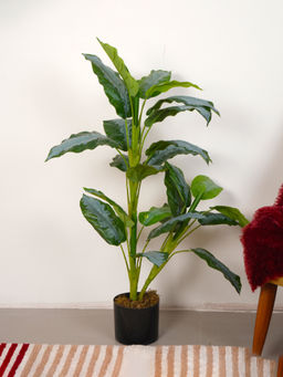 Home Bloom - Artificial Green Dieffenbachia Topiary Plant with Pot