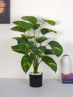 Home Bloom - Artificial Green Natural Looking 18 Leaves Photos Indoor Plant with Pot