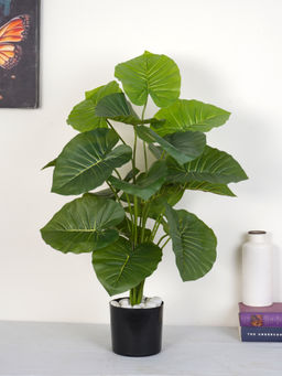 Home Bloom - Artificial Green Natural Looking 18 Leaves Rubber Indoor Plant with Pot