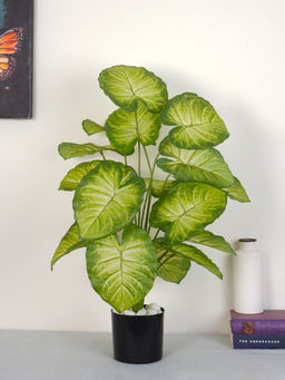 Home Bloom - Artificial Green Natural Looking 18 Leaves Dieffenbachia Plant with Pot