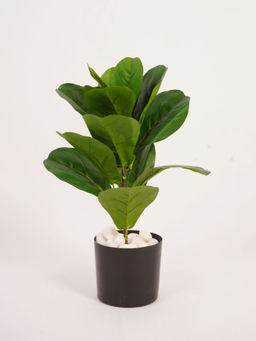 Home Bloom - Artificial Green Rubber Plant with Pot