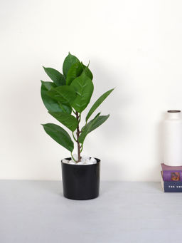 Home Bloom - Artificial Green Rubber Plant with Pot