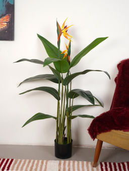 Home Bloom - Artificial Green Tropicana Strelitzia Regina & Bird of Paradise Plant with Pot