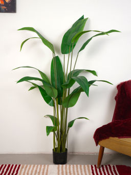 Home Bloom - Artificial Green Tropicana Strelitzia Regina & Bird of Paradise Plant with Pot