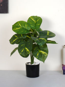 Home Bloom - Artificial Green Natural Looking 12 Leaves Money Indoor Plant with Pot