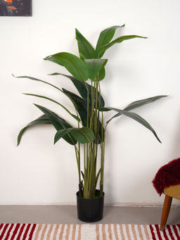 Home Bloom - Artificial Green Tropicana Strelitzia Regina & Bird of Paradise Plant with Pot