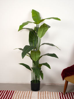 Home Bloom - Artificial Green Tropicana Strelitzia Regina & Bird of Paradise Plant with Pot