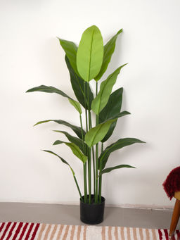 Home Bloom - Artificial Green Tropicana Strelitzia Regina & Bird of Paradise Plant with Pot