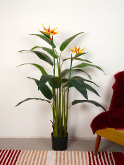 Home Bloom - Artificial Green Tropicana Strelitzia Regina & Bird of Paradise Plant with Pot