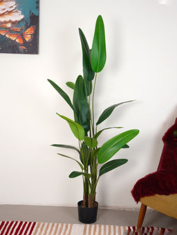 Home Bloom - Artificial Green Tropicana Strelitzia Regina & Bird of Paradise Plant with Pot