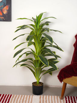 Home Bloom - Artificial Green Dracaena Plant with Pot
