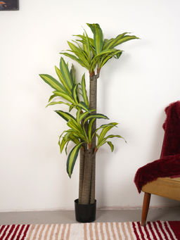 Home Bloom - Artificial Green Dracaena Plant with Pot