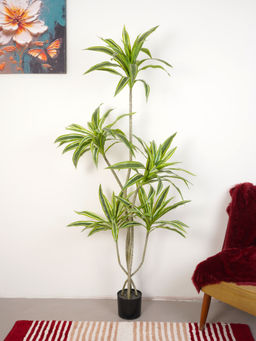 Home Bloom - Artificial Green Dracaena Plant with Pot