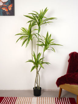 Home Bloom - Artificial Green Dracaena Plant with Pot