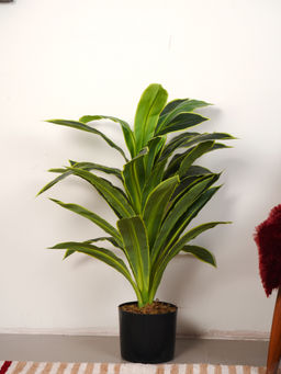 Home Bloom - Artificial Green Dracaena Plant with Pot