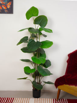 Home Bloom - Artificial Green Circular Fan Palm Plant with Pot