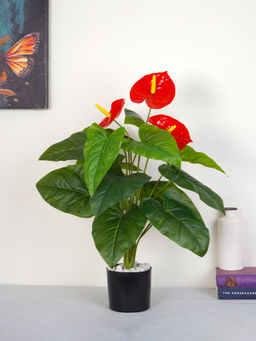 Home Bloom - Artificial Green Natural Looking 18 Leaves Anthurium Indoor Plant with Pot