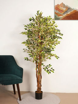 Home Bloom - Artificial Green Grand Ficus Plant with Pot