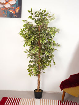 Home Bloom - Artificial Green Grand Ficus Plant with Pot