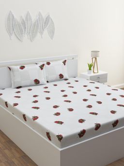 Home Affairs - Red Floral 210 Tc Bedsheet with 2 Pillow Covers
