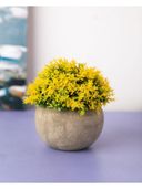 Yellow color option, Sold out, Currently selected