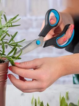 Viners - Everyday Set of 2 8-Inch & 10-Inch Stainless Steel Multipurpose Kitchen Scissors Black