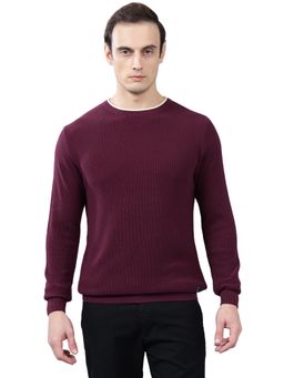 Cantabil - Men Purple Self Design Sweater