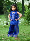 Blue color option, Currently selected
