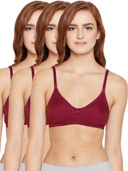 Bodycare - Cotton Spandex Lightly Padded Non Wired Seamless Cup Bra (Pack of 3)