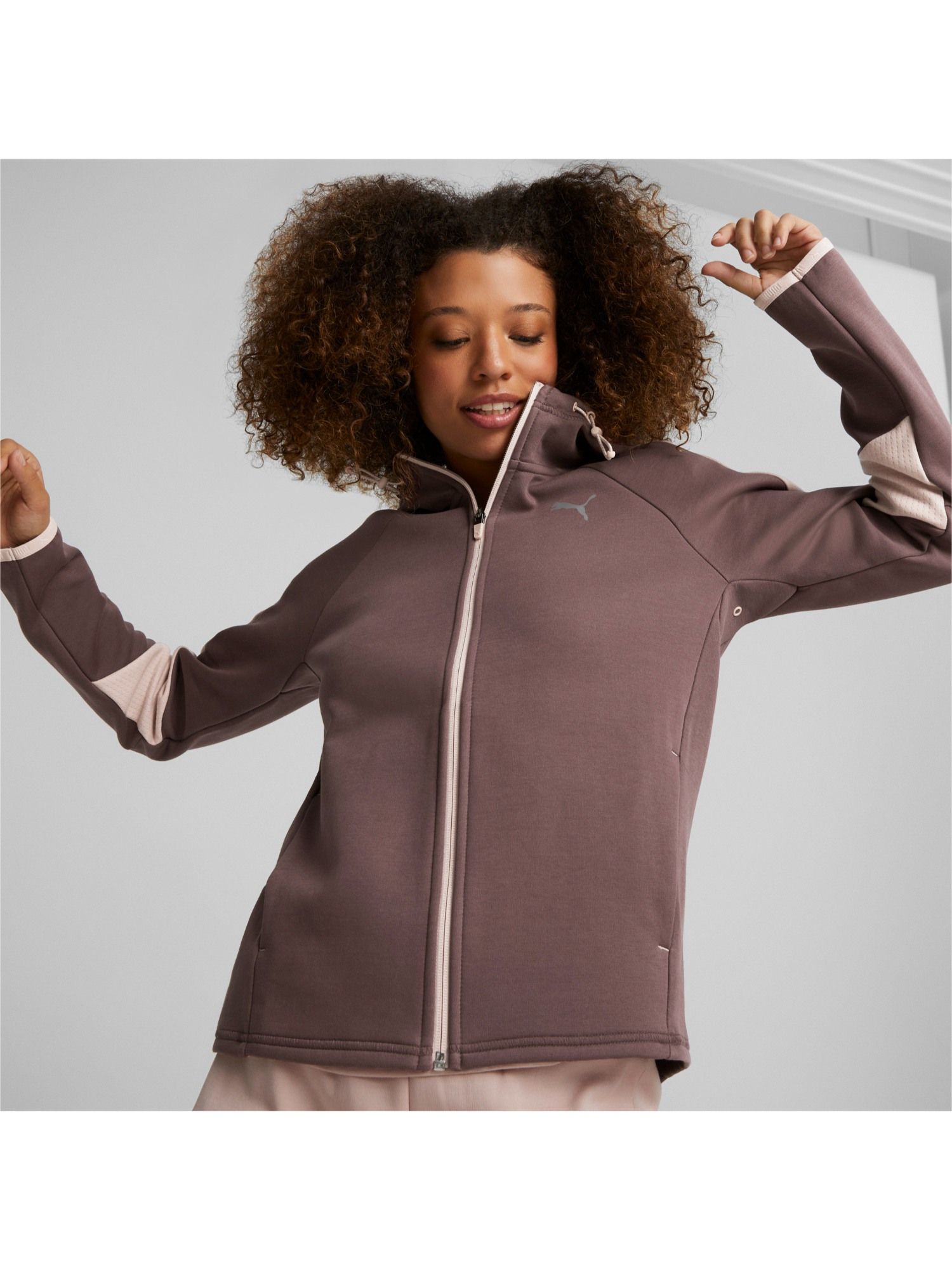 Buy Puma Evostripe Full zip Women Purple Hoodie Online