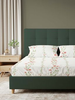 Urban Space - Serene 200 Tc Cotton Bedsheets with Pillow Cover Peach (King)