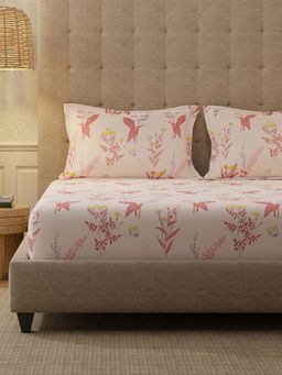 Urban Space - Whisper Peach Cotton Bedsheet with 2 Pillow Covers (King)