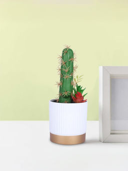 Ekhasa - Cactus Artificial Plant with Pot Indoor Plastic Small Decorative Potted Plant