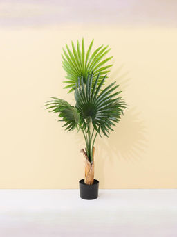 Ekhasa - Palm Artificial Plant with Pot (Big Size: 4 Feet 6 Leaves)