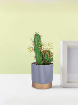 Ekhasa - Cactus Artificial Plant with Pot Indoor Plastic Small Decorative Potted Plant