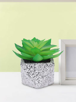 Ekhasa - Succulent Artificial Plant with Pot Indoor Plastic Small Decorative Plant
