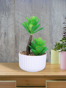 Ekhasa - Artificial Plant with Pot Indoor Plastic Small Decorative Plant
