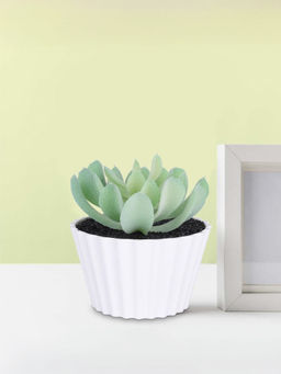 Ekhasa - Succulent Artificial Plant with Pot Indoor Plastic