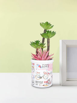 Ekhasa - Artificial Plant with Pot Indoor Plastic Small Decorative Potted Plant