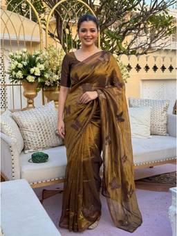 Nyri - Embellished Beads Sequinned Satin Bronze Saree