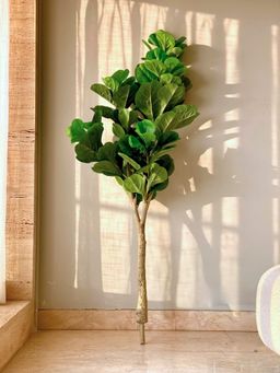 Mason Home - Artificial Decadent Fiddle Plant - 5.5 Feet (Without Pot)